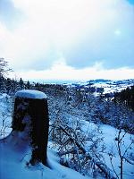  2. Januar 2010 - ein Blick vom Ginkgo in eine frisch verschneite Landschaft